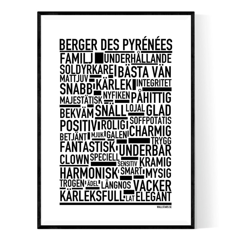 Berger Des Pyrénées Poster