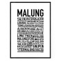 Malung 2024 Poster