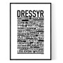 Dressyr Poster