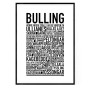 Bulling Poster