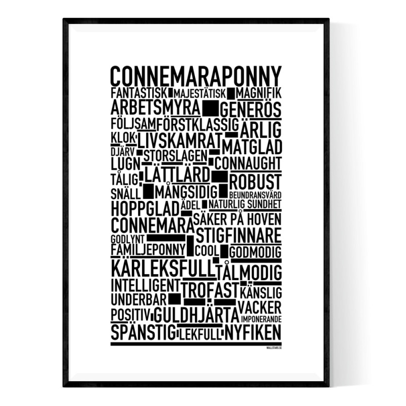 Connemaraponny Poster