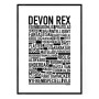 Devon Rex Poster