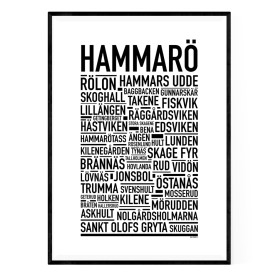 Hammarö 2024 Poster