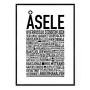 Åsele 2024 Poster