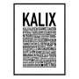 Kalix 2024 Poster
