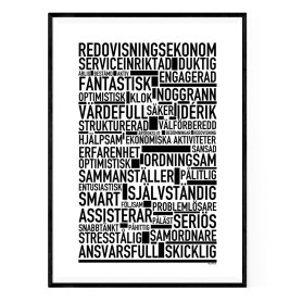 Redovisningsekonom Poster