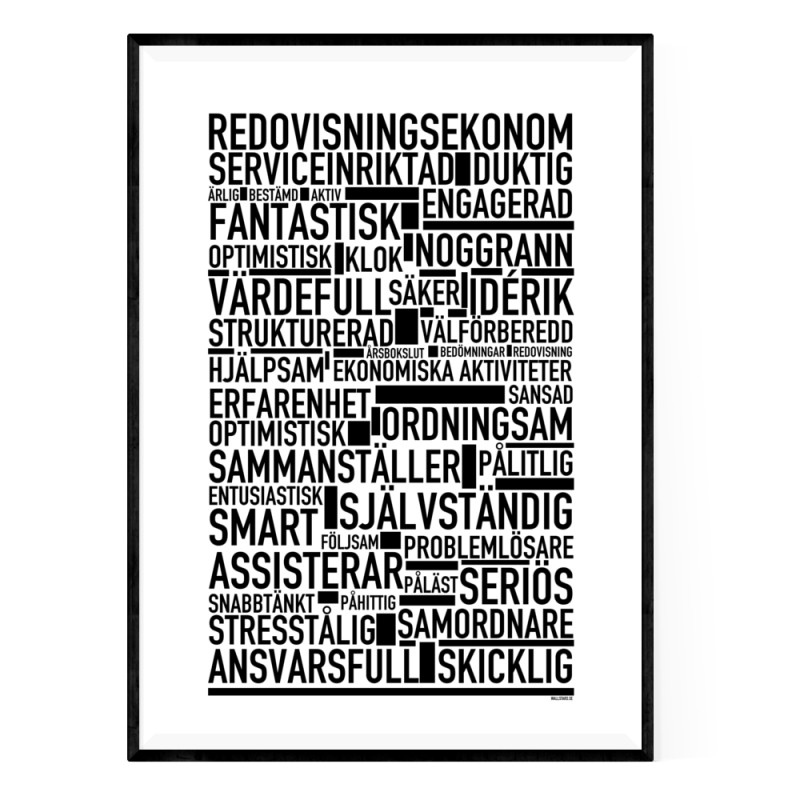 Redovisningsekonom Poster