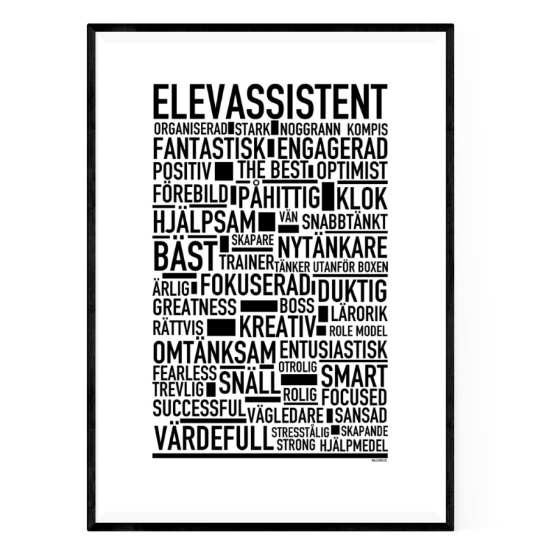 Elevassistent Poster