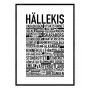 Hällekis Poster