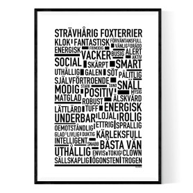 Strävhårig Foxterrier Poster