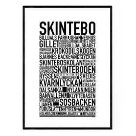 Skintebo Poster
