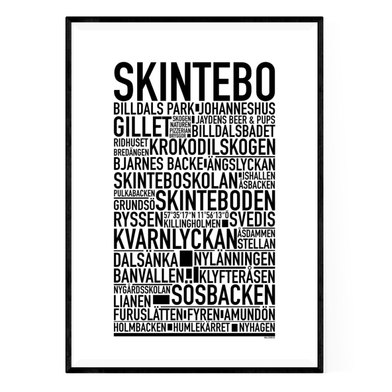 Skintebo Poster