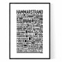 Hammarstrand Poster