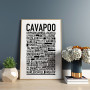 Cavapoo Poster
