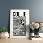 Collie Poster