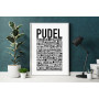 Pudel Poster