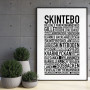 Skintebo Poster