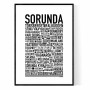 Sorunda Poster