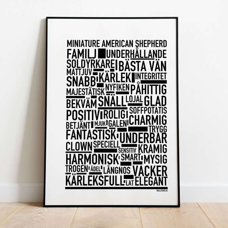Miniature American Shepherd Poster