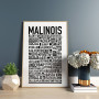 Malinois Poster