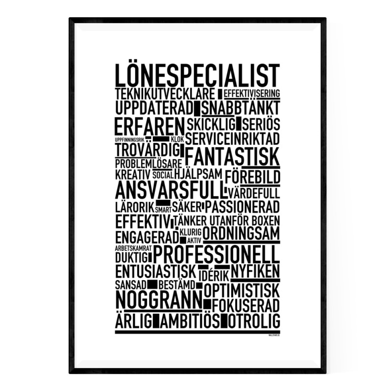 Lönespecialist Poster