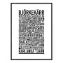 Björkekärr Poster