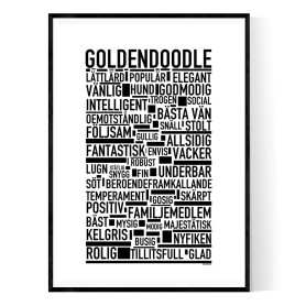 Goldendoodle Poster