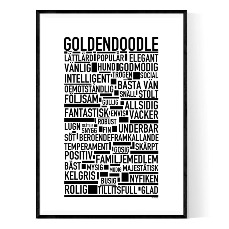 Goldendoodle Poster