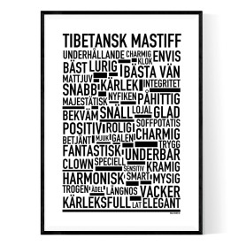 En tavla om hundrasen Tibetansk Mastiff