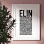 Elin Poster