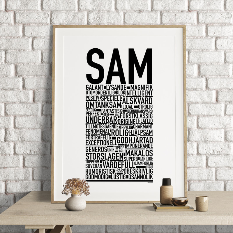 Sam Poster
