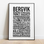Bergvik Poster