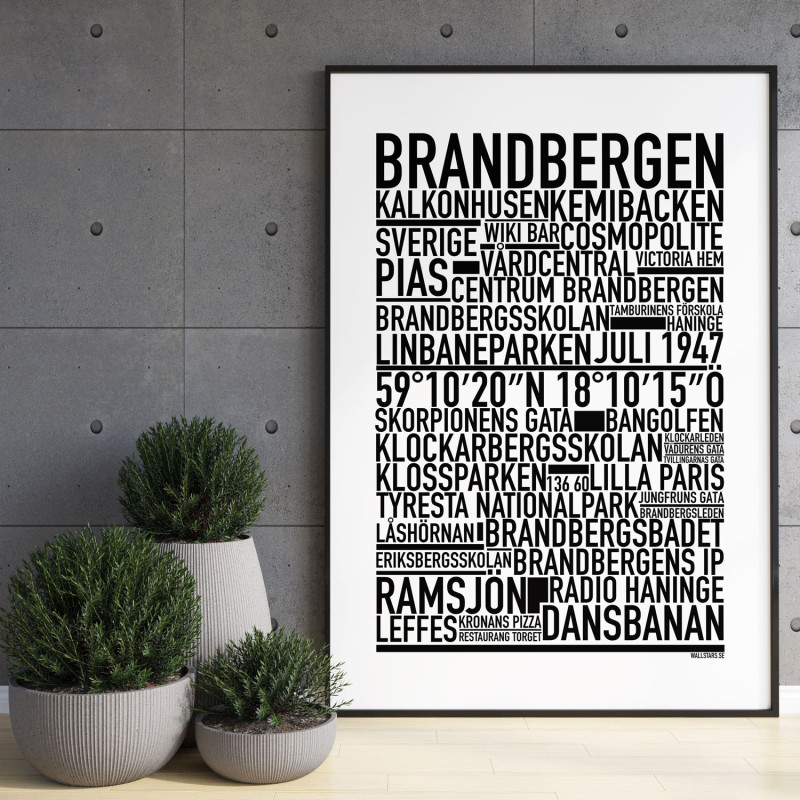Brandbergen Poster