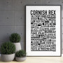 Cornish Rex Poster