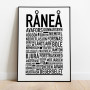 Råneå 2024 Poster