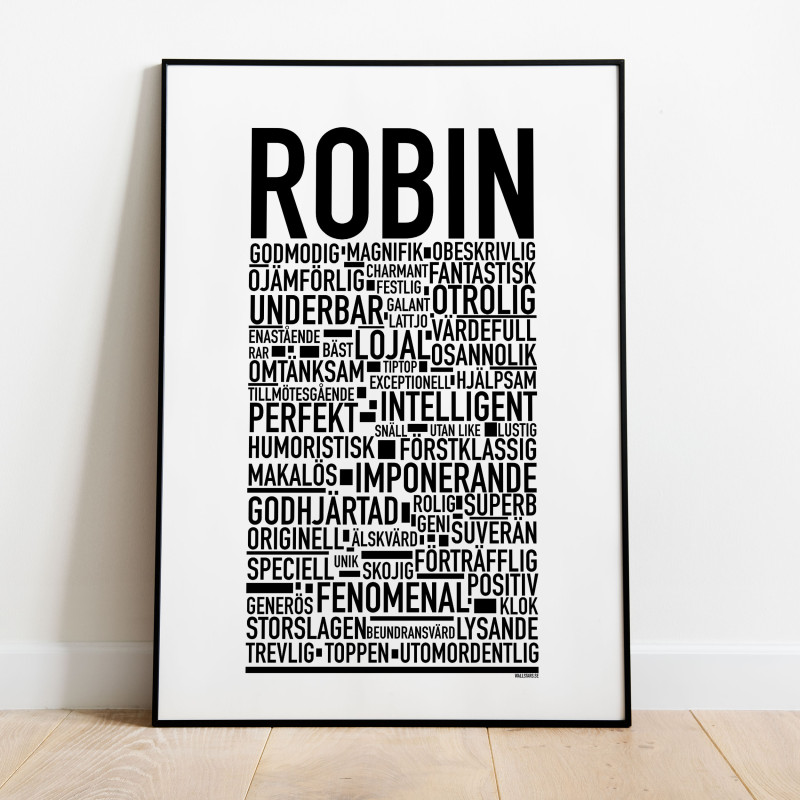 Robin Poster