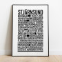Stjärnsund 2025 Poster