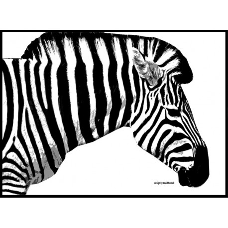 The Zebra Poster