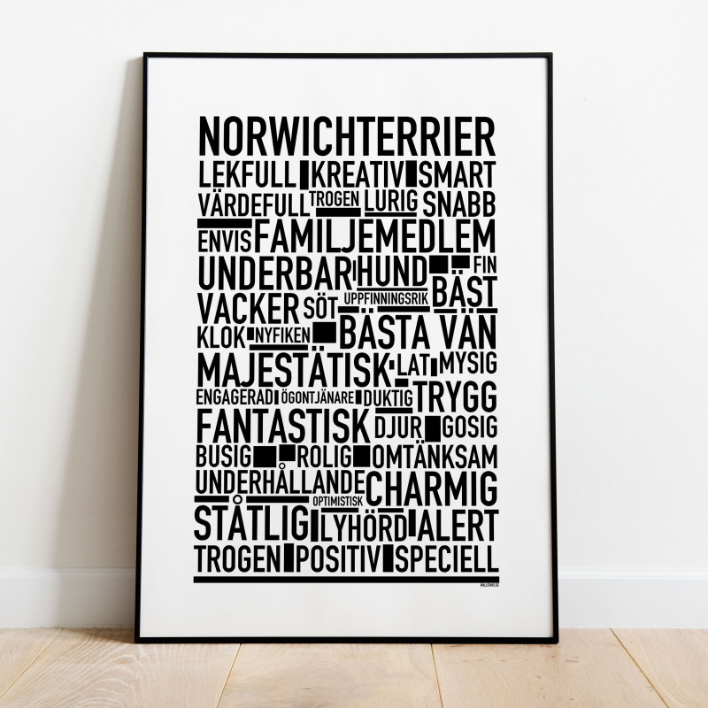 Norwichterrier Poster