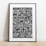 Norwichterrier Poster