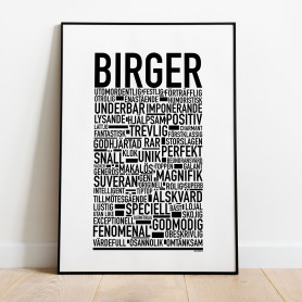 Birger Poster