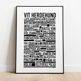 Vit Herdehund Poster