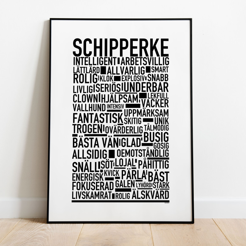 Schipperke Poster