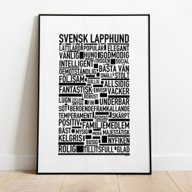 Svensk Lapphund Poster
