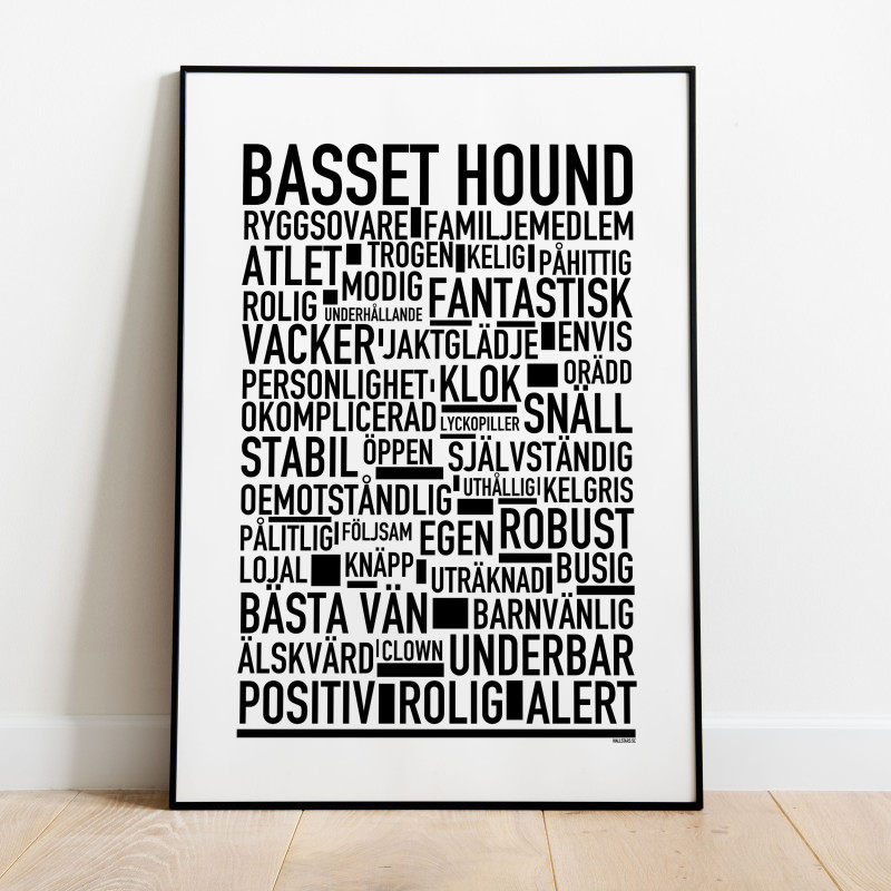 Basset Hound Poster