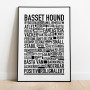 Basset Hound Poster