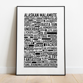 Alaskan Malamute Poster