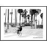 Venice Bicycle