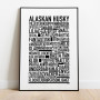 Alaskan Husky Poster