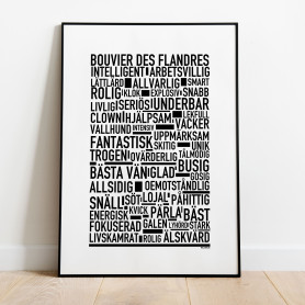 Bouvier Des Flandres Poster
